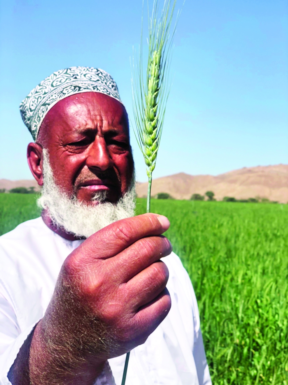 عبدالرحمن العبري في مزرعته