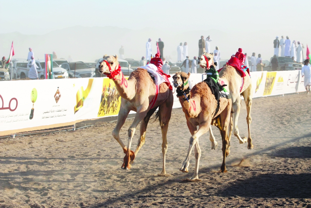 جانب من مهرجان التميز للهجن