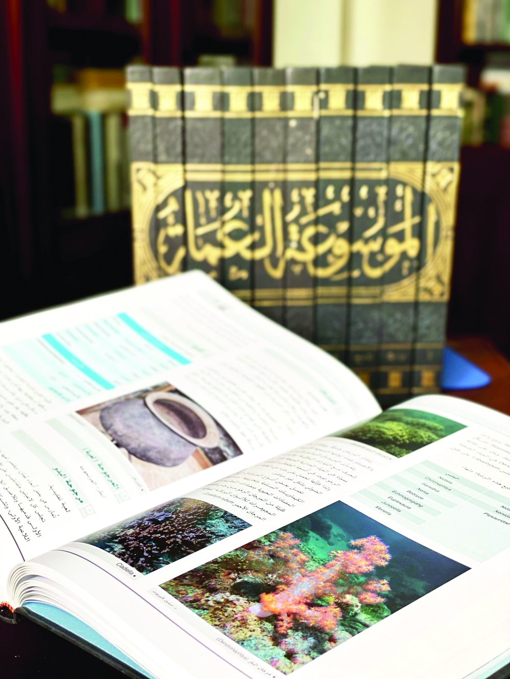  من المهم تحديث المادة والصور في الطبعات القادمة للموسوعة