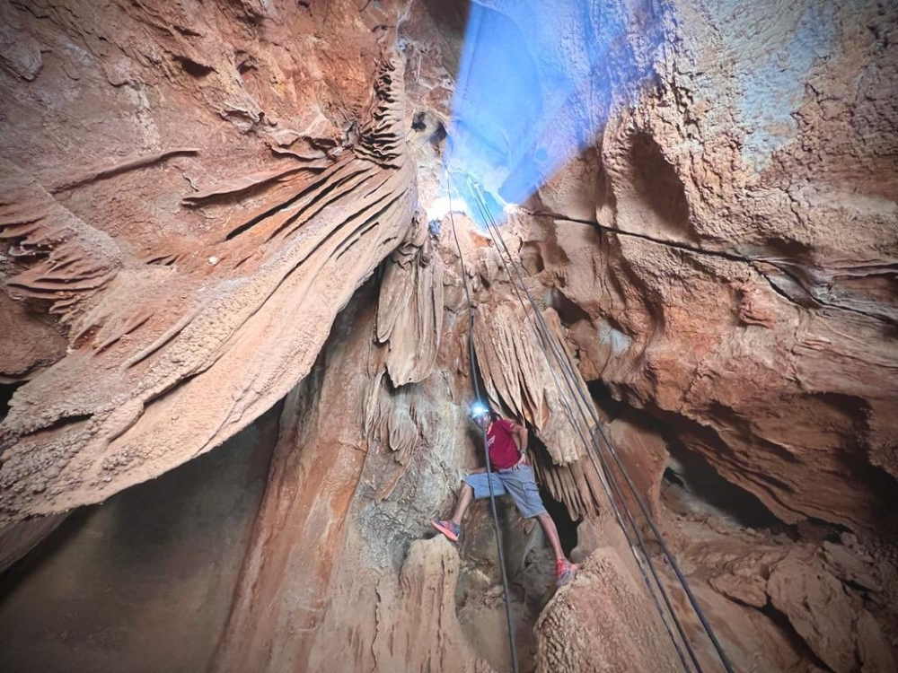 الكهف يضم العديد من الكائنات الحية بين الزواحف والحشرات والخفافيش وغيرها