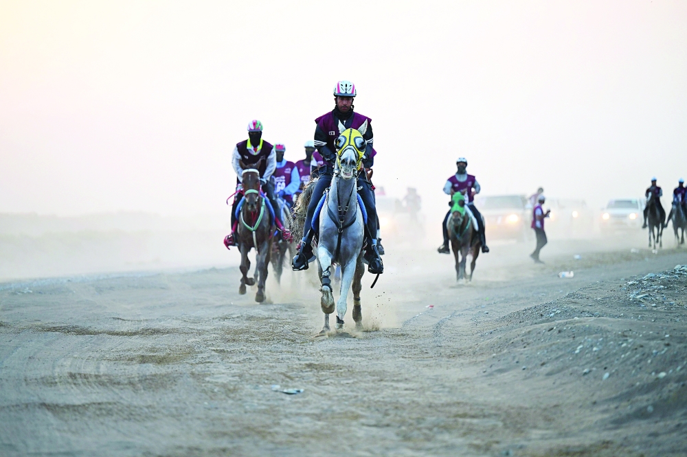 جانب من منافسات القدرة والتحمل