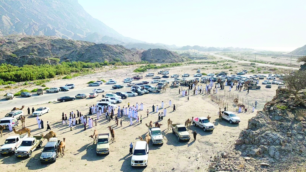 جانب من المزاينة