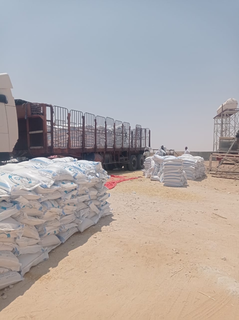 أثناء تحميل إنتاج محصول القمح