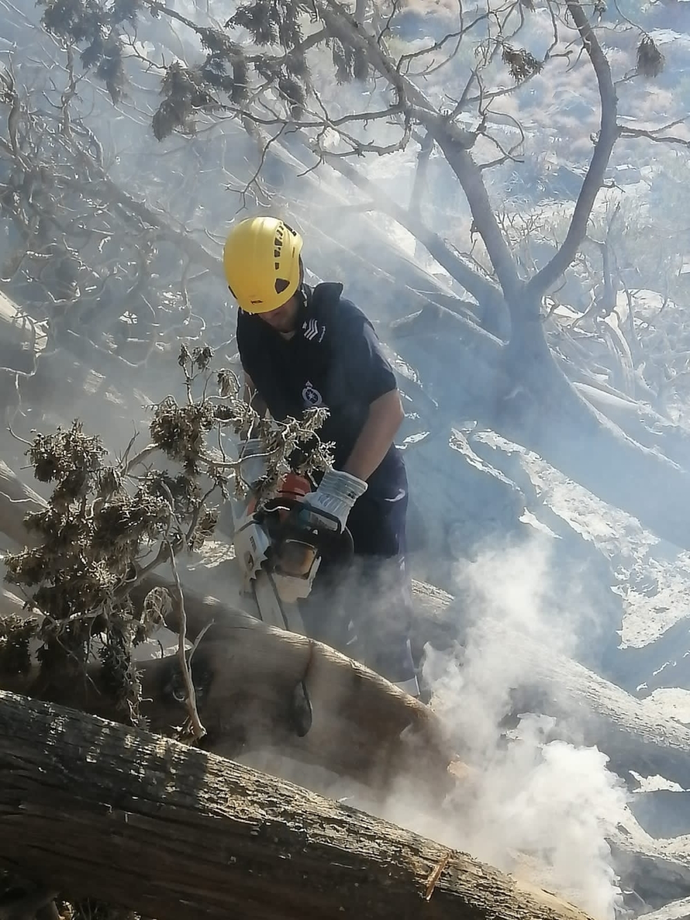 جانب من تعامل فرق الإطفاء مع الحريق بجبل شمس