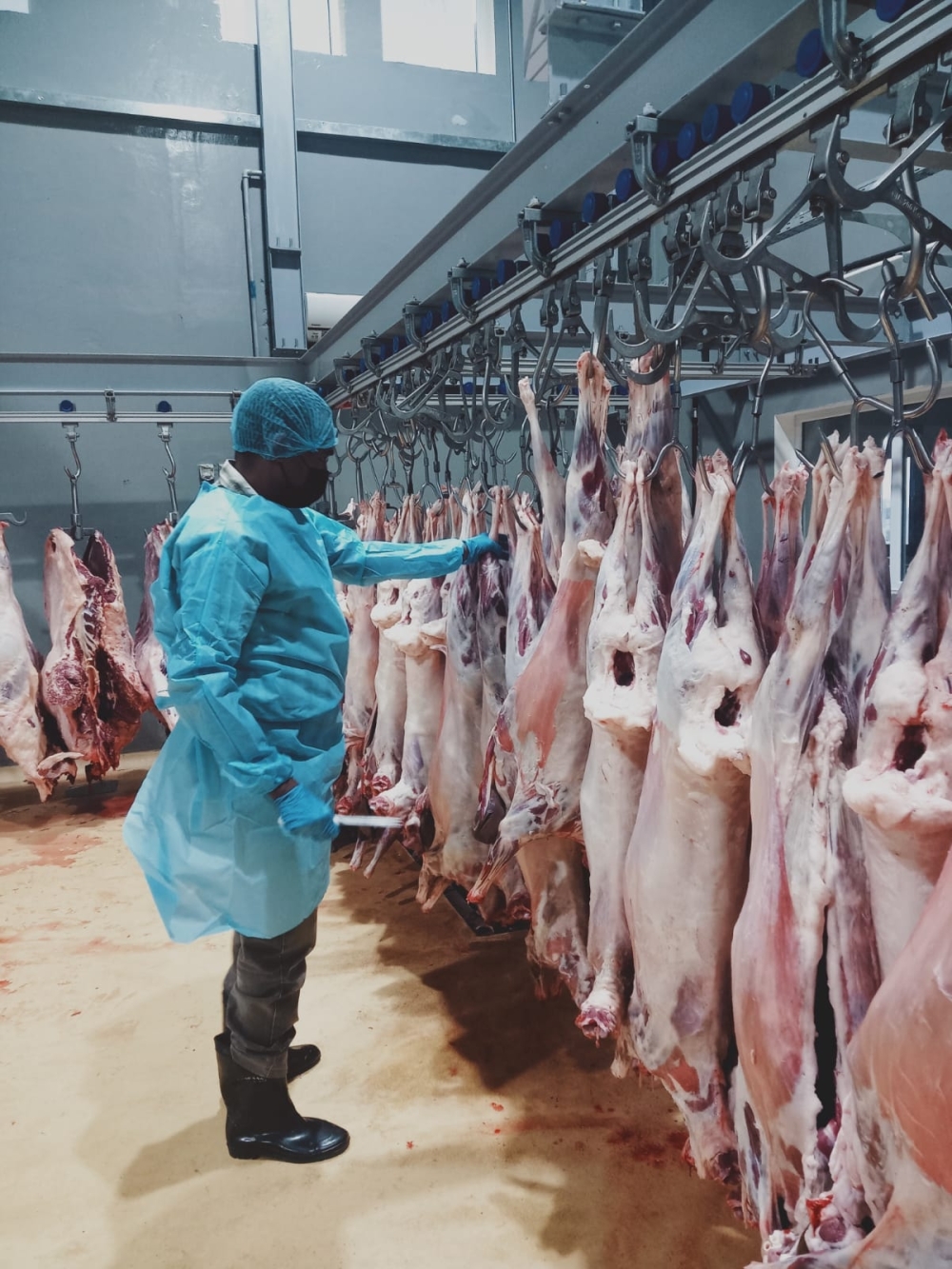تسخير كافة الإمكانيات لضمان بيئة صحية في المسالخ