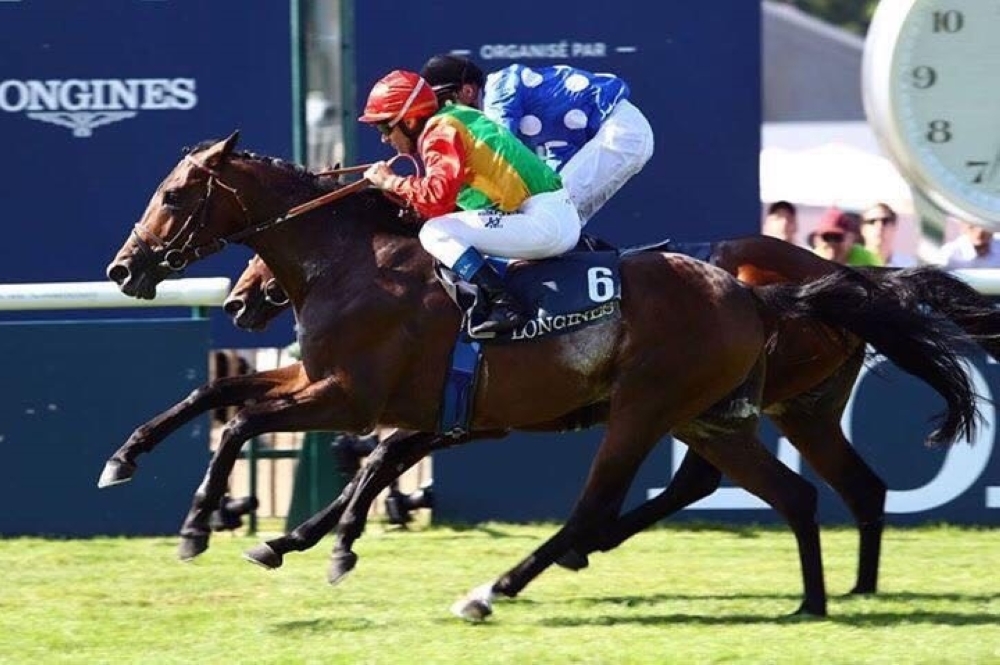 من مشاركة الخيالة السلطانية في السباقات الفرنسية