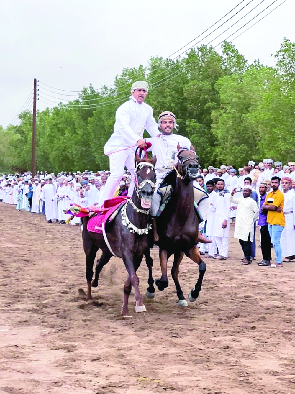 جانب من استعراض الفرسان 