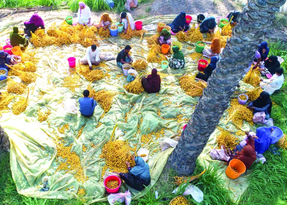 تجمع الأهالي لفرز البسور