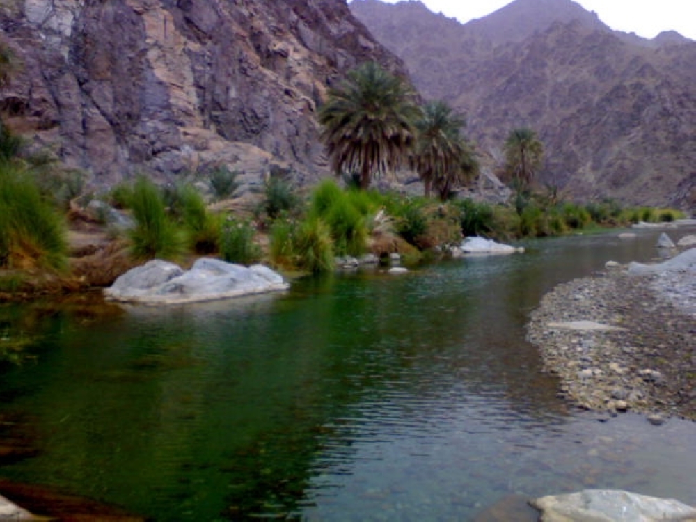 تجمع مائي