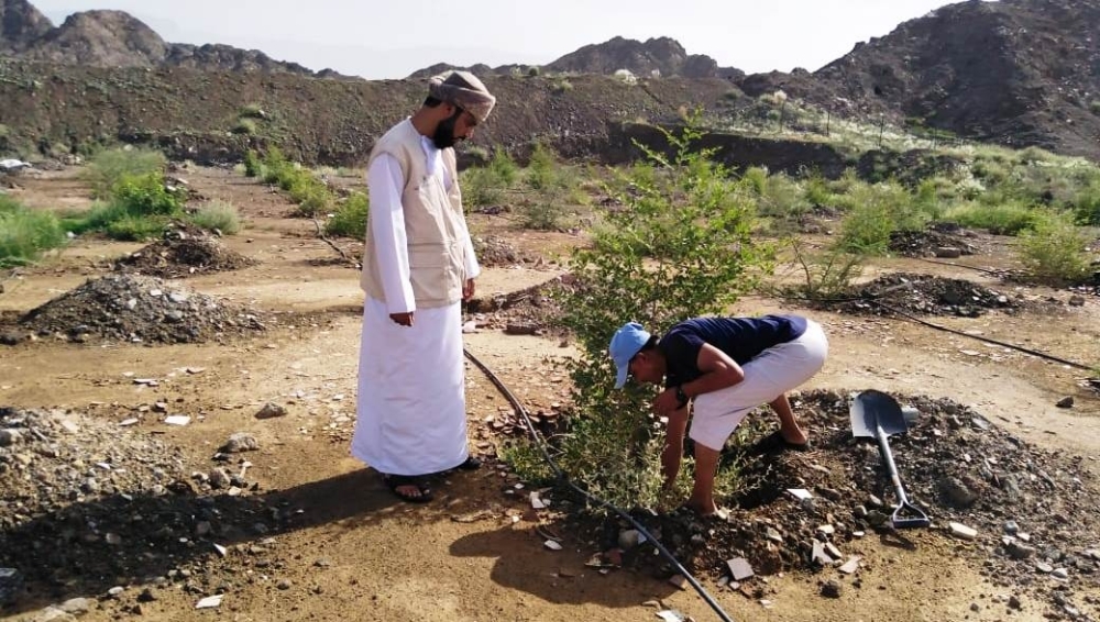 مشروع الاستزراع