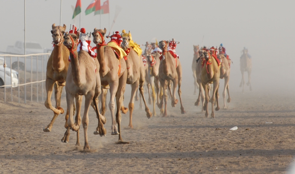 جانب من المهرجان الماضي بالمضيبي