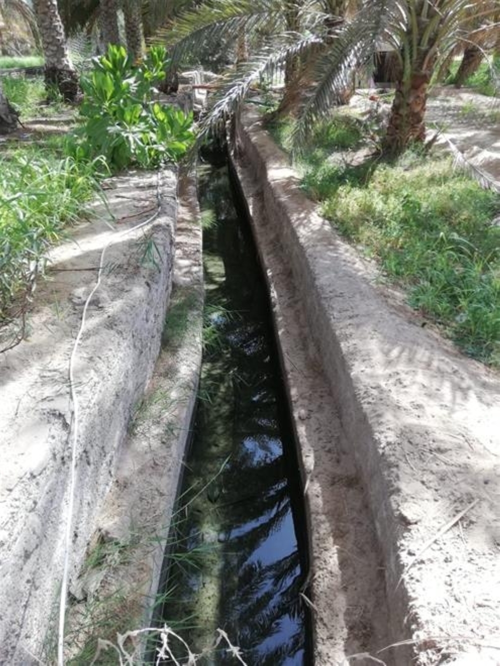 من الأفلاج الجاري العمل في صيانتها