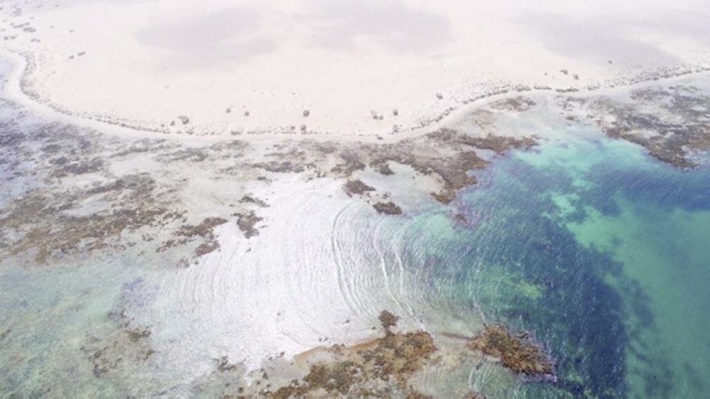 الوسطى تزخر بثروة بحرية على امتداد سواحلها المطلة على بحر العرب