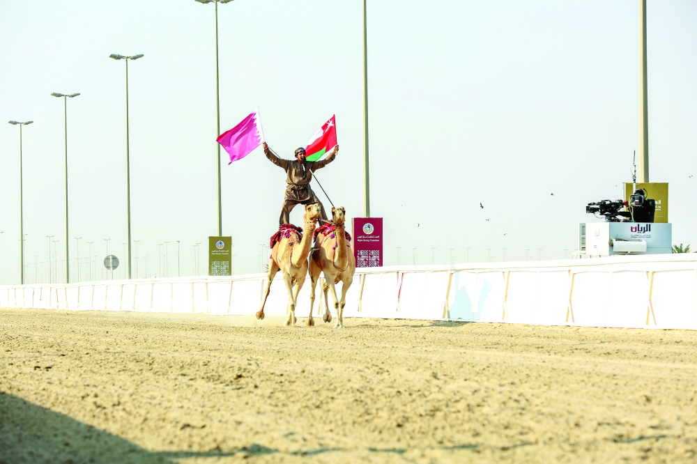 من عروض الهجانة السلطانية في فعالية "الهجن وكأس العالم 2022" بقطر