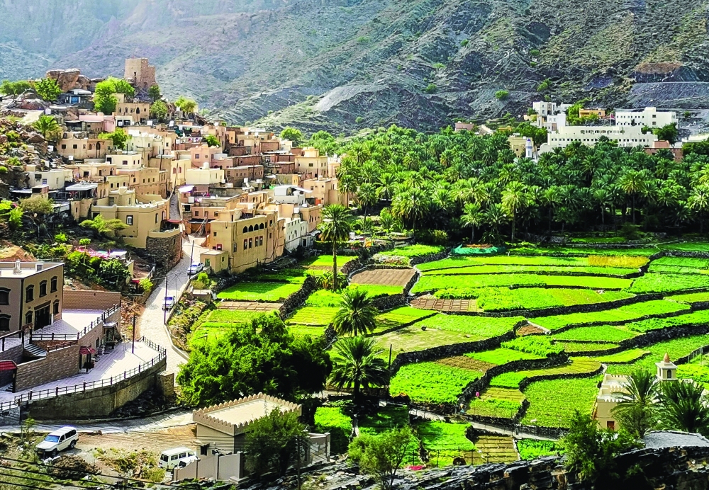 IMG_20220103_103519 (1)