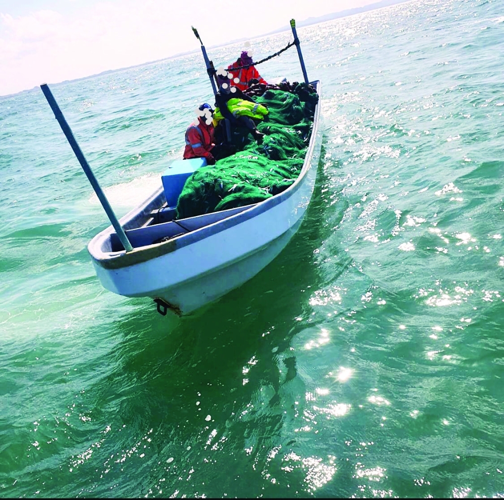 الرقابية السمكية تضبط قاربين للصيد عليهما عدد من القوى العاملة الوافدة بجزيرة مصيرة