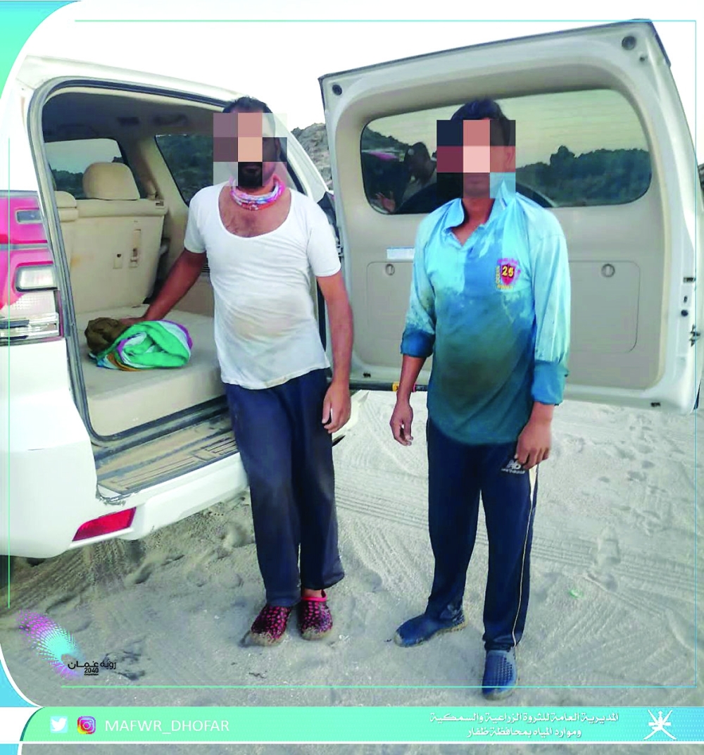 الرقابة السمكية بظفار تضبط قوى عاملة وافدة قامت بصيد الشارخة خارج الموسم