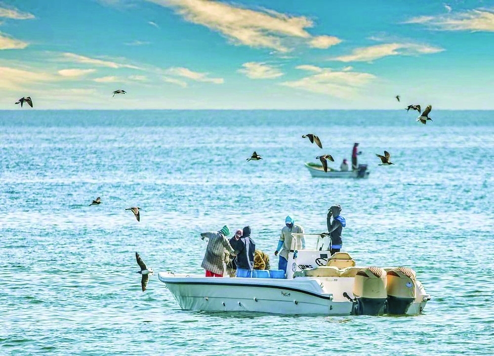 ضبط قوى عاملة وافدة غير مصرحة تمارس الصيد