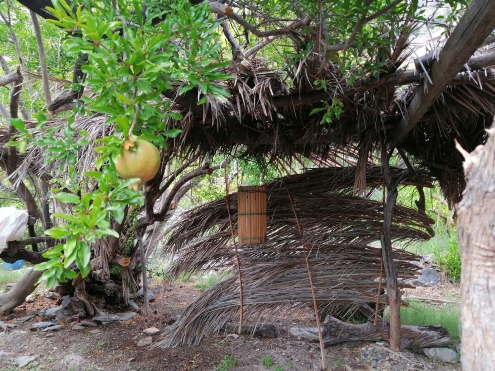 قرية حلحل طبيعة بكر ومناظر خلابه  