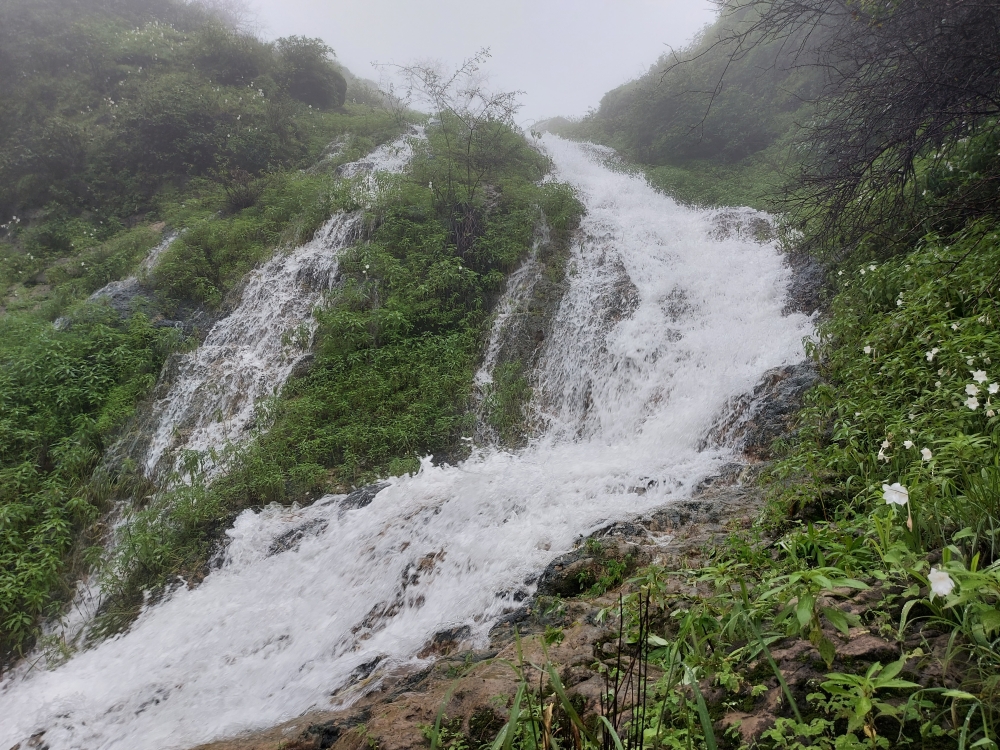 تدفق قوي لشلالات اضبيض بوادي عين بولاية صلالة
