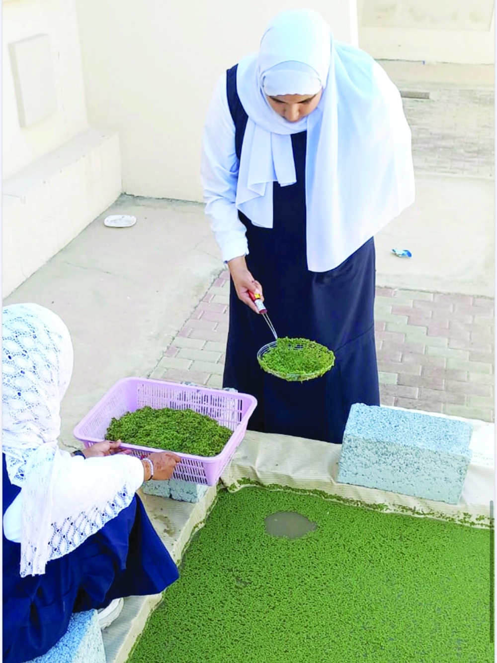 أثناء تنفيذ المشروع
