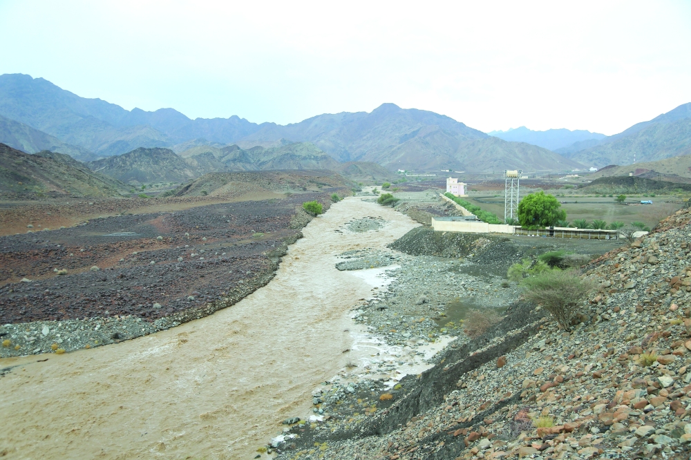 

«تصوير أحمد البريكي»