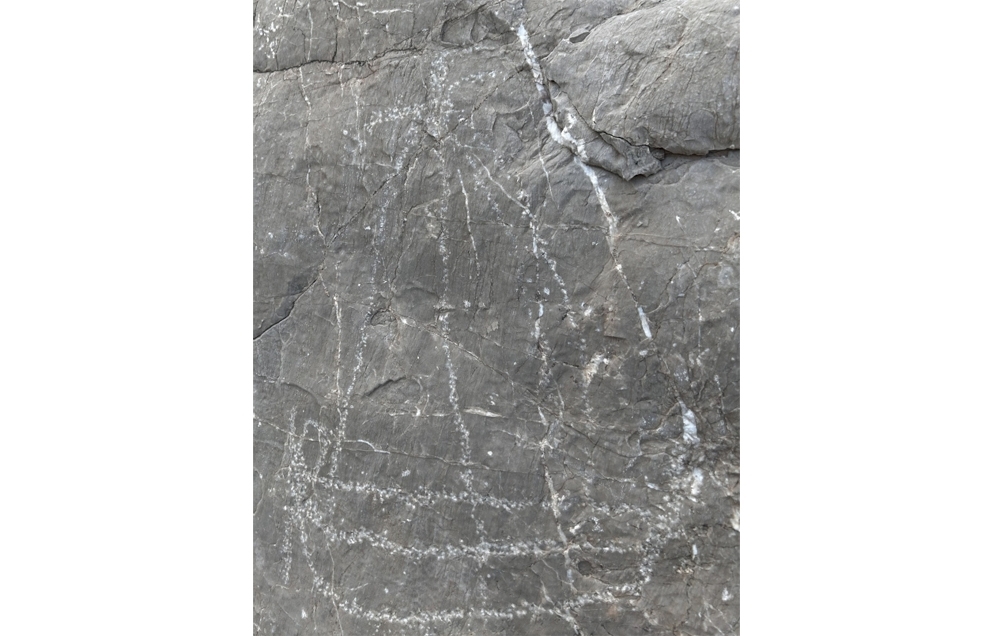 نقش السفينة