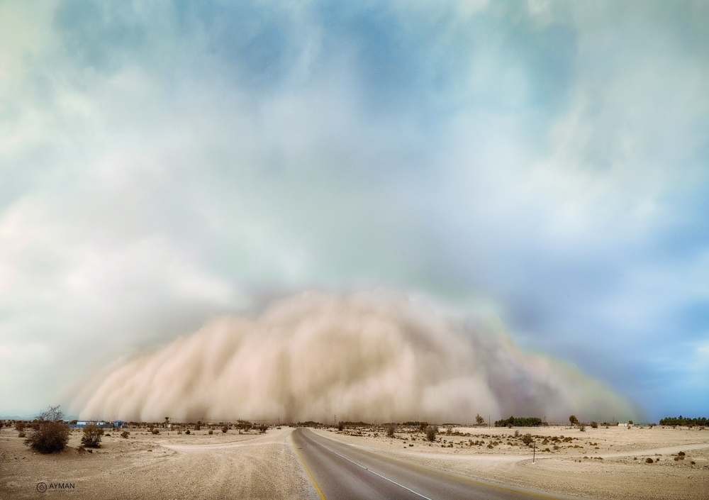 تصوير: أيمن البلوشي