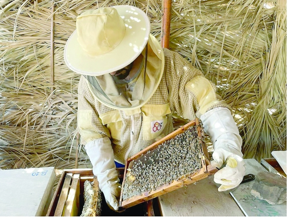 يتم من خلالِ التحليلِ التركيزِ على التحاليلِ الكيميائيةِ بتحليلِ السكرياتِ الأحاديةِ والثنائيةِ