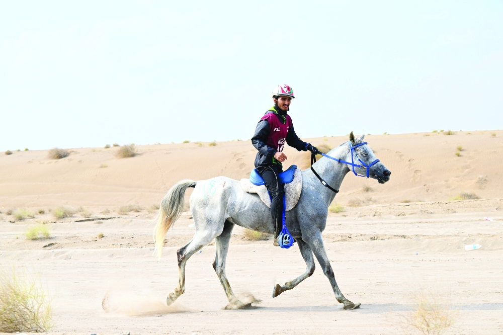 جانب من المنافسة       ...            تصوير: راشد الطوقي