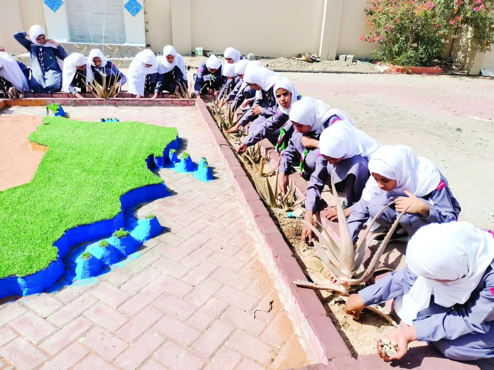 المرشدات خلال زراعة الصبار