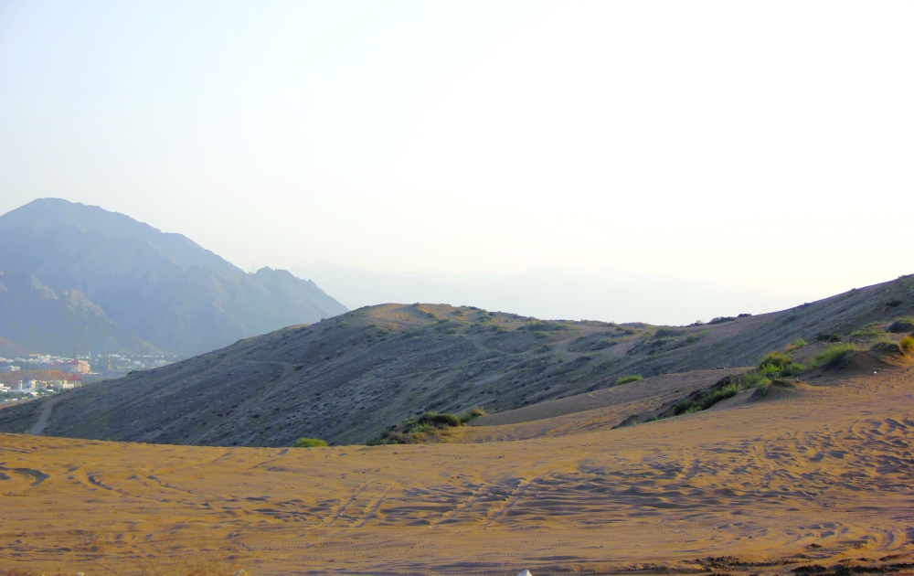 جزء من رمال بوشر 