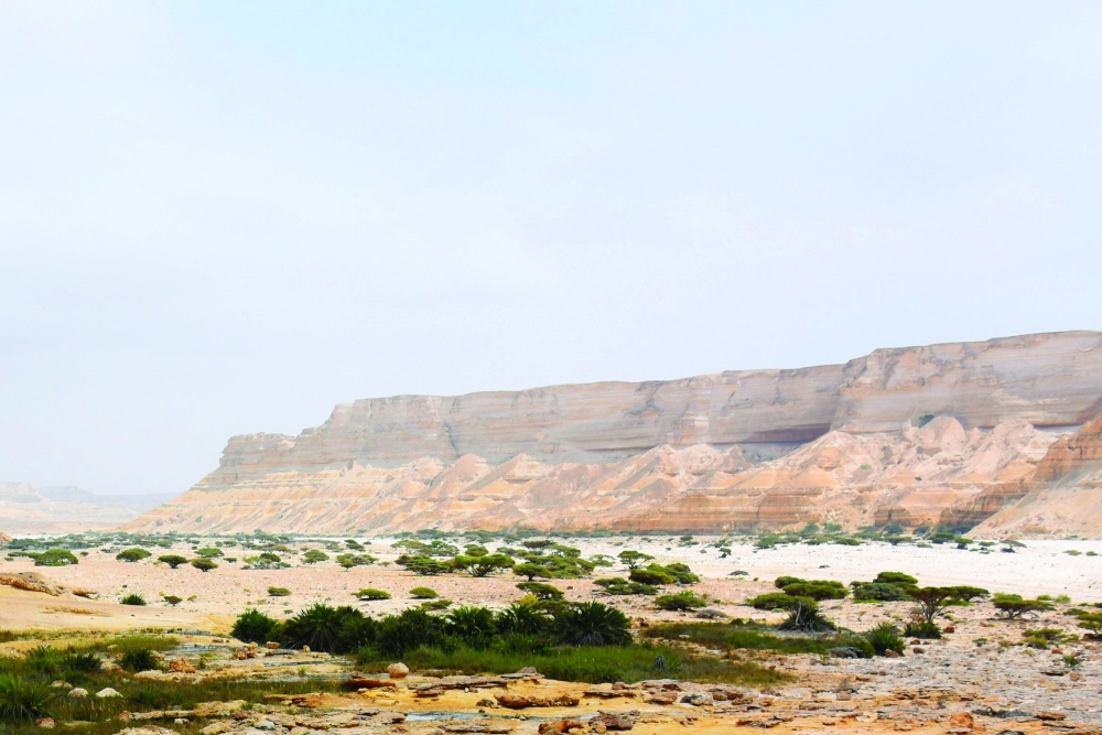 جانب من طبيعة الأودية في نيابة الشويمية بشليم وجزر الحلانيات
