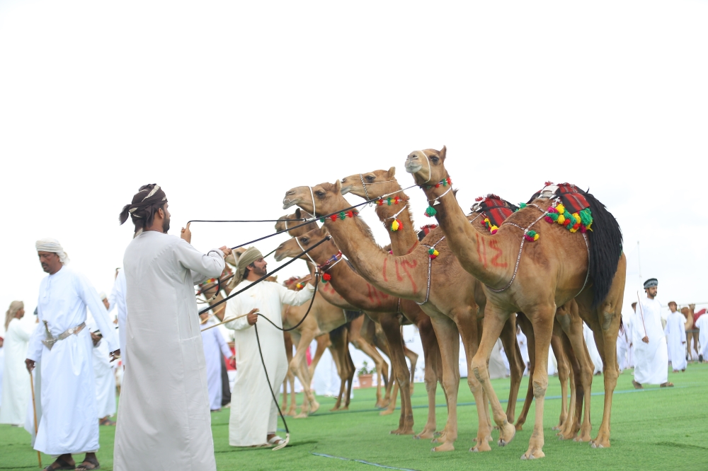 من منافسات اليوم الأخير للمهرجان.. "تصوير: أحمد البريكي"