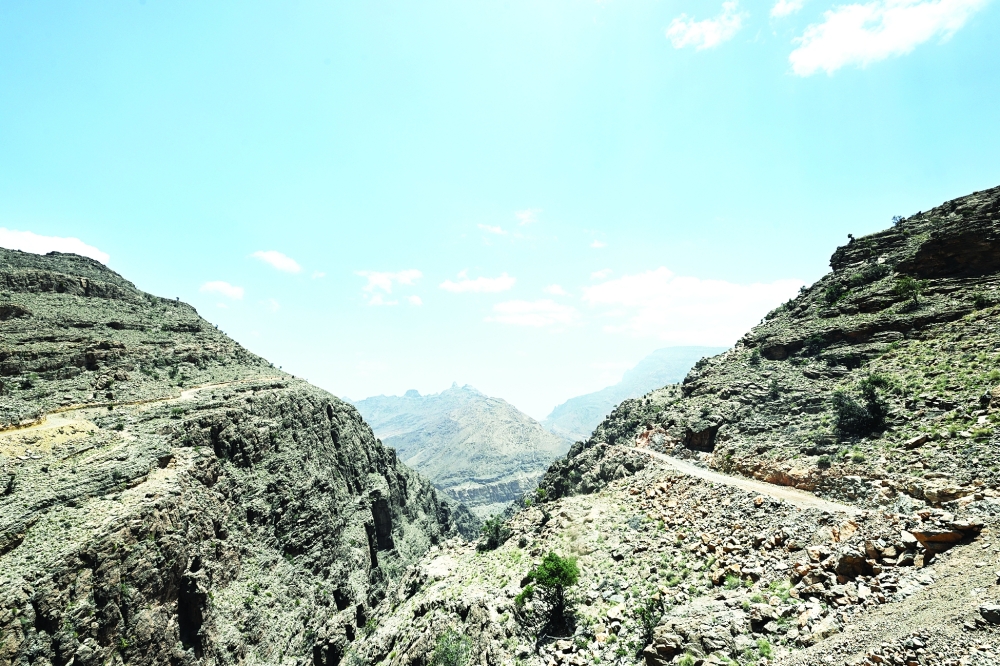 تجارب تستحق أن توثق لأنها تقدم نماذج في الكفاح والتضحية والصبر