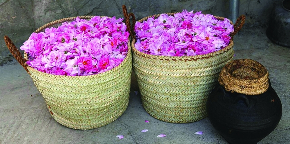 يضم مركز الأعمال والحاضنات بالجبل الأخضر أكثر من 2700 شجرة مختلفة الأصناف