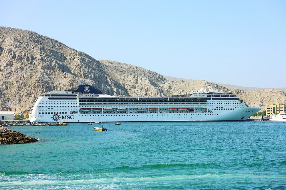 إحدى السفن السياحية الضخمة التي ترسو في الميناء