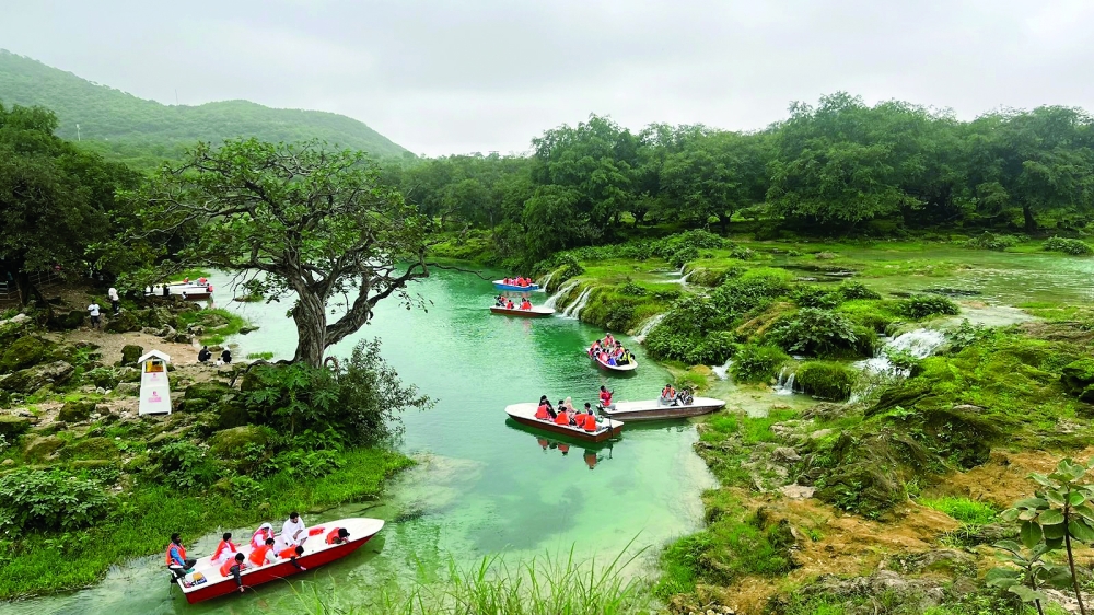 يتكاثر العارنوت في العيون المائية المحاطة بالأعشاب والأشجار الكثيفة بمحافظة ظفار