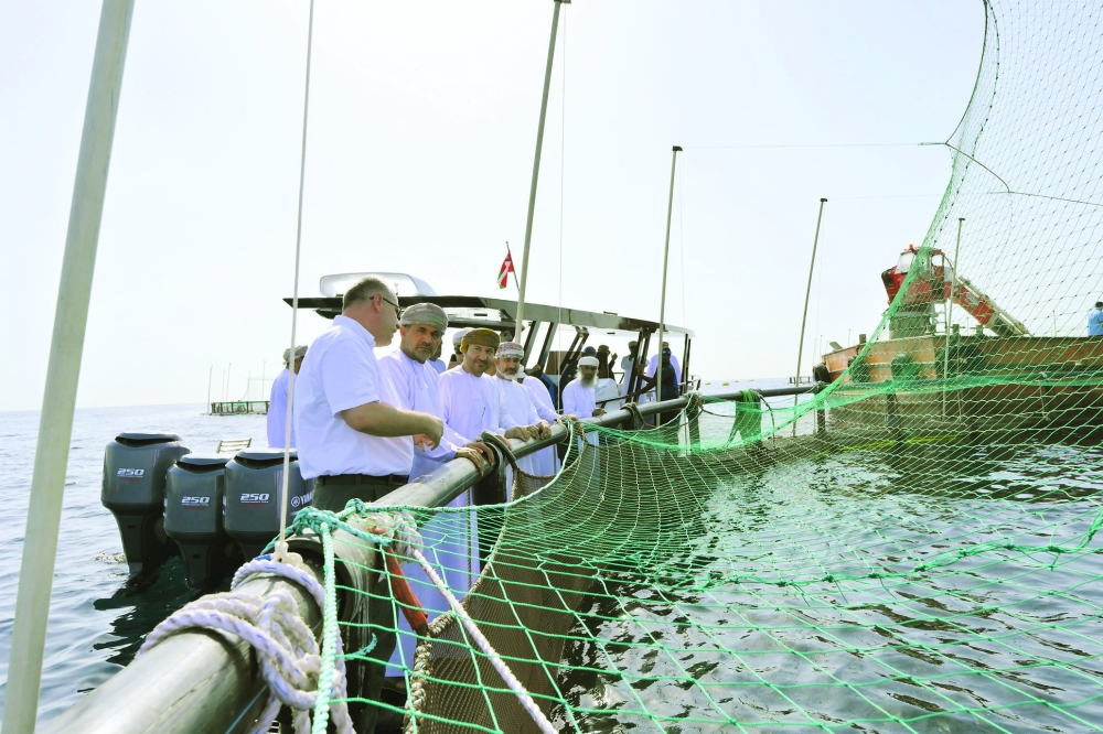 التعرف على مرافق ميناء الصيد البحري بالسيب