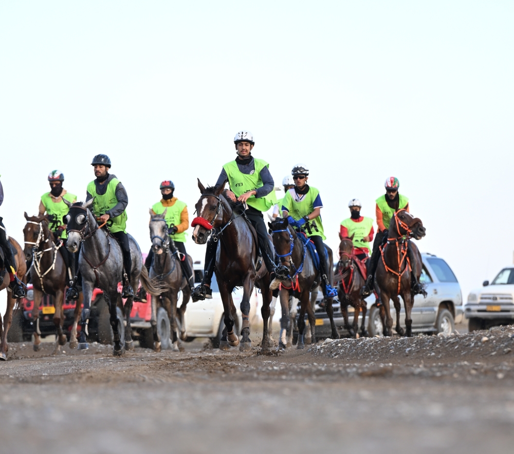 المنافسات الماضية لسباق القدرة والتحمل