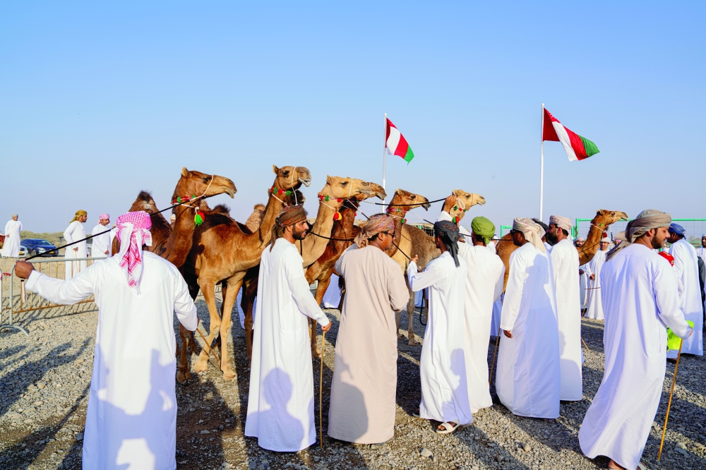 لقطة من مزاينة الهجن
