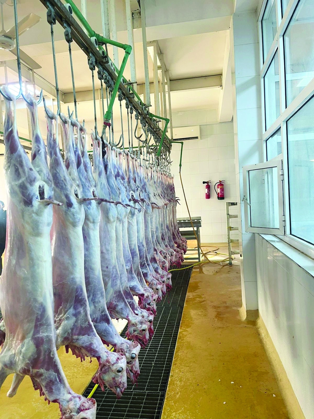 خلال تفتيش المسالخ ومحالّ بيع اللحوم